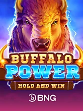 Buffalo Power: Hold and Win (BNG)