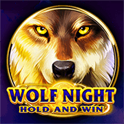Wolf Night (BNG)