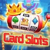 Card Slots (HC)