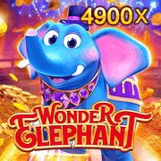 Wonder Elephant (JDB)